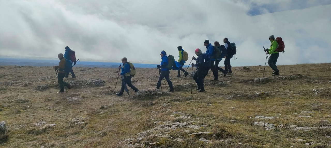 WhatsApp Image 2026-02-10 at 14.47.45 (7)